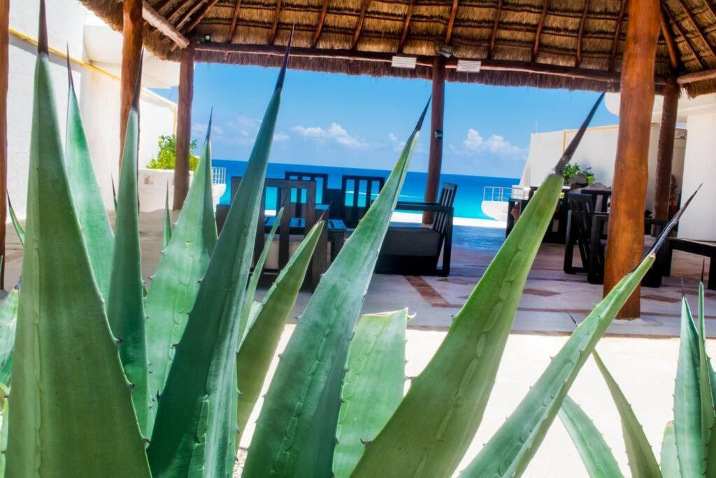 Cancun Marlin 32 Εξωτερικό φωτογραφία